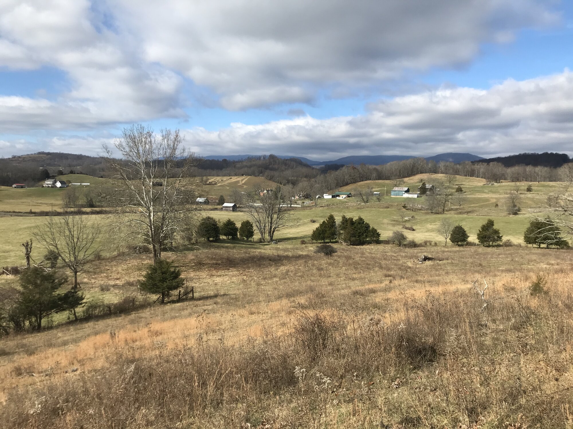 Winter pastures