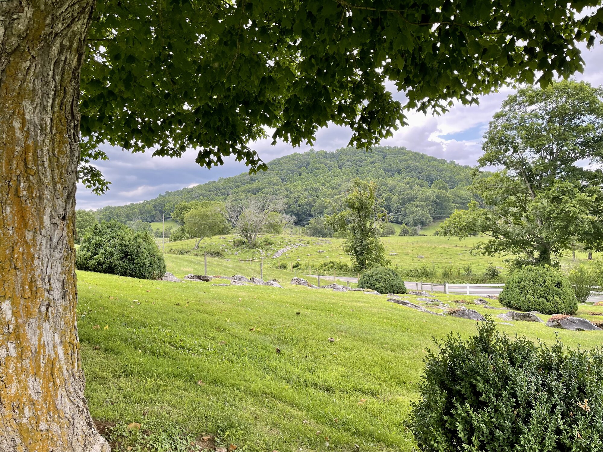 Summer on the farm