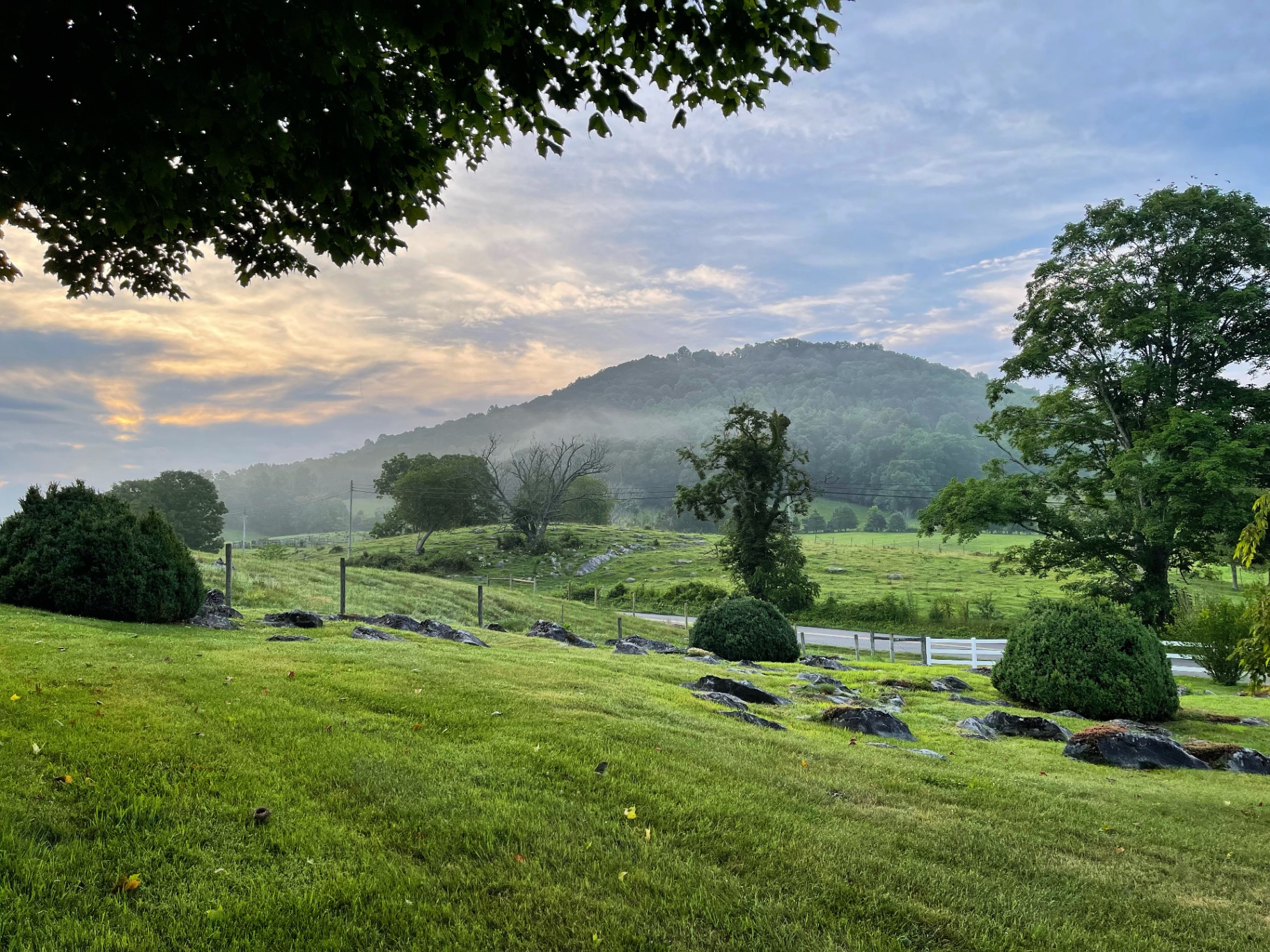 Mountain rising over the green pastures of Midway Farm at dawn